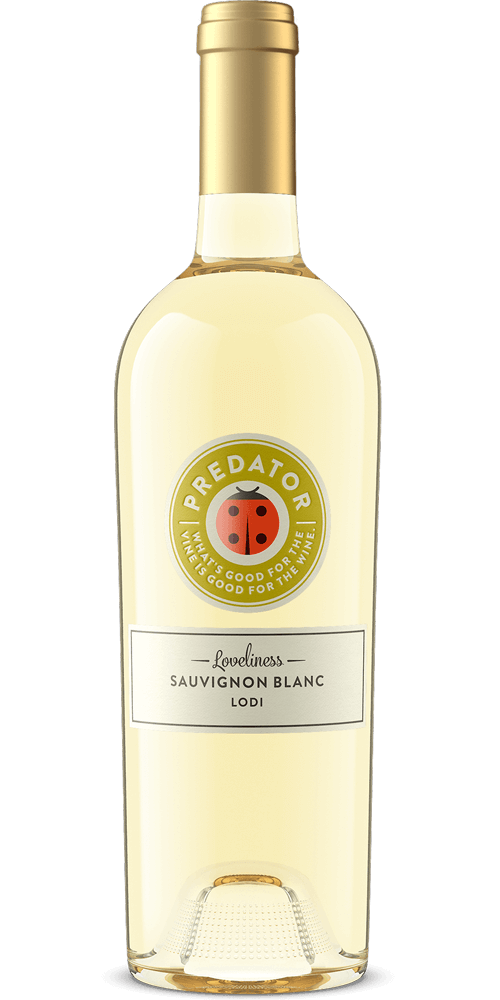 sauvignon blanc wine bottle